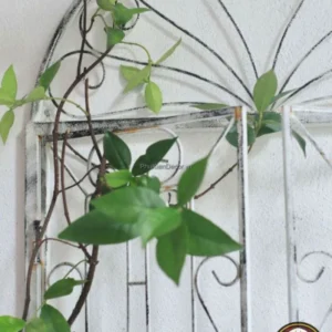 Cửa Sổ Trang Trí- Cửa Sổ Treo Tường Decor 6 cua-so-treo-tuong-trang-tri-5